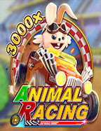 สูตรยี่กีฟันตัวเดียว ทดลองเล่นที่สร้างกำไรได้